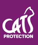 Cats Protection Teignbridge and Torbay: Fundraising Volunteer