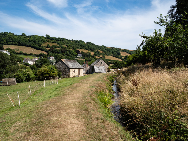 Guided walk volunteer