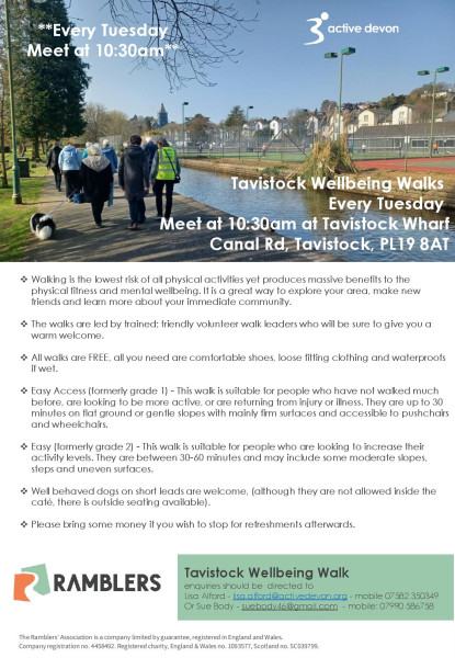 Tavistock weekly wellbeing walk