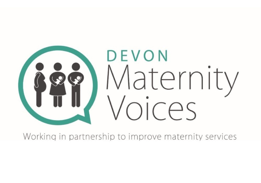 Devon Maternity Neonatal Voices Partnership Volunteer and engagement Lead - Co-Chair