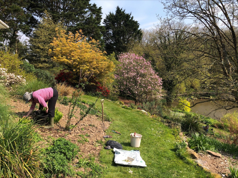 Volunteer at Marwood Hill Gardens