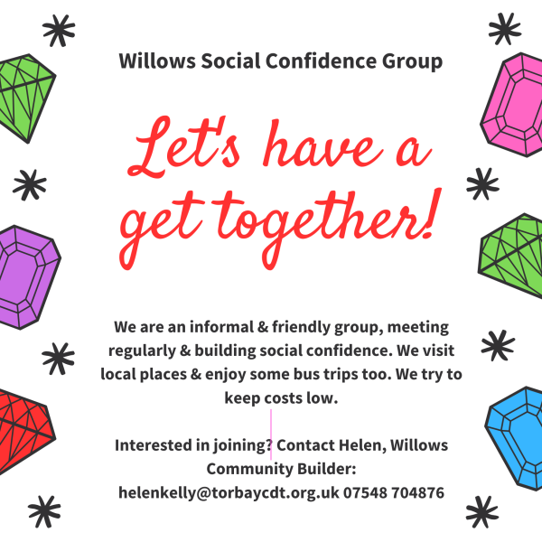 Willows Social Confidence Group