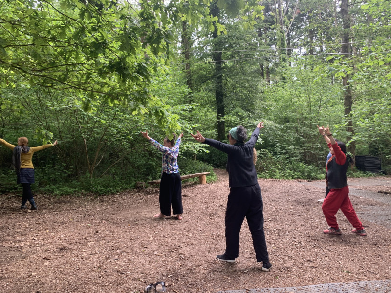 Qigong in the Woods-A Funded Class For Women
