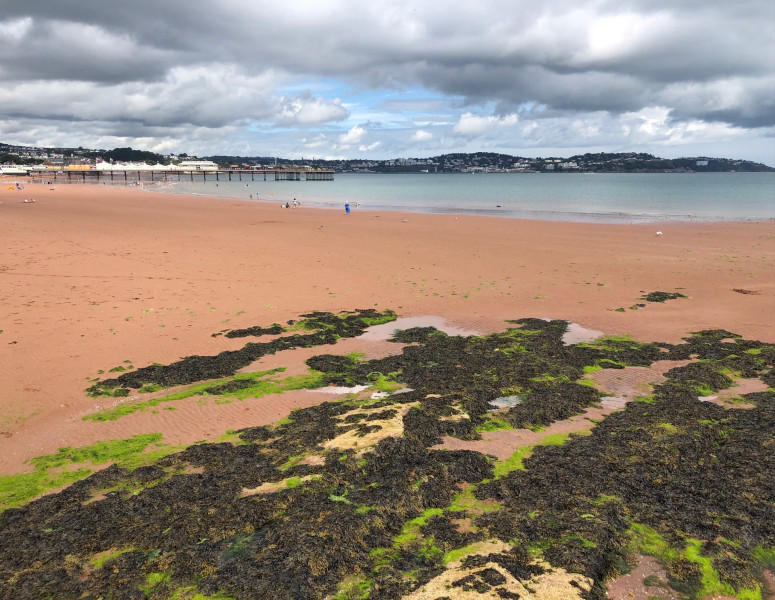 Fatigue Management Walking Group - Torbay & Teignbridge