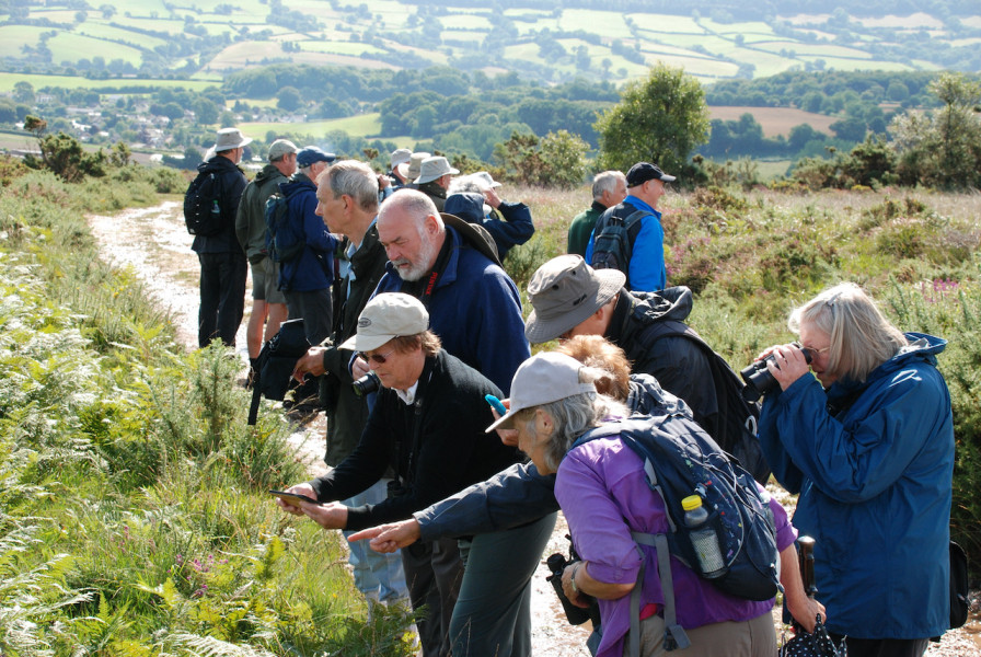 Group Leader of RSPB Exeter & District Local group