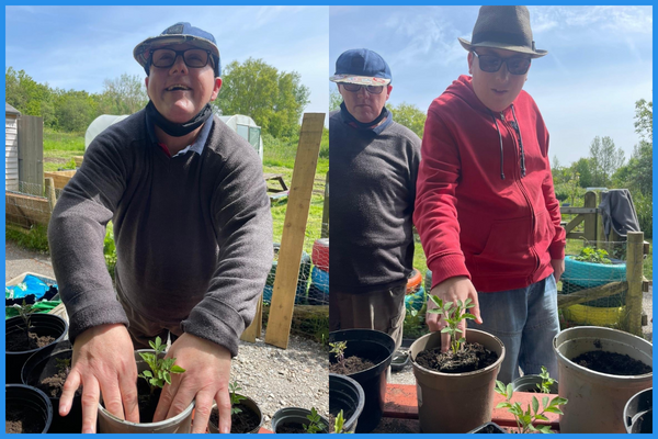 Gardening Opportunity (Northam Care Trust)