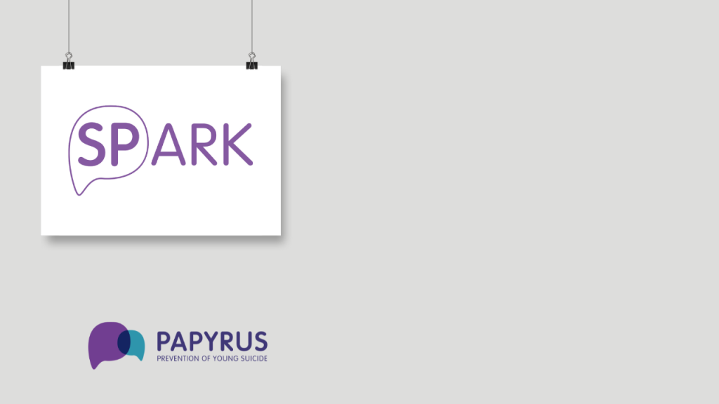 Champions-Our volunteer Champions help PAPYRUS raise
awareness by delivering short talks