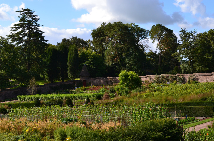 Walled Garden Volunteer