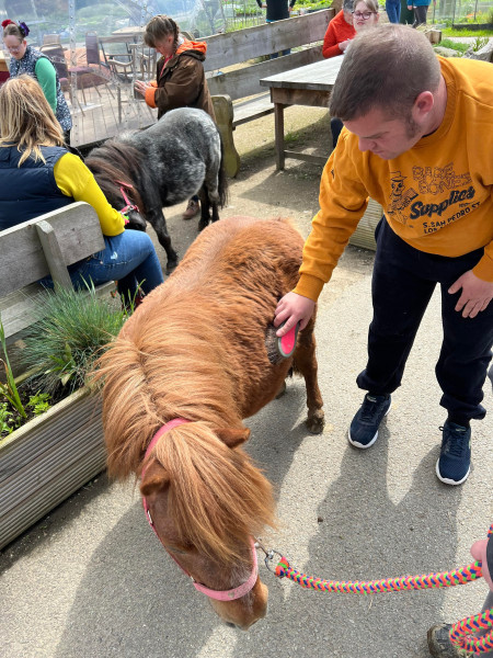 Pony Therapy at Made-Well CIC, Hatherleigh