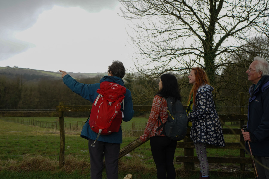 Walking Volunteer at National Trust's Arlington Court