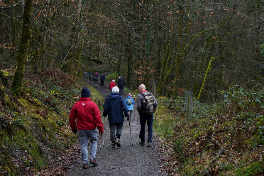 Guided wider Estate Walk - Active Hike 
Tuesday 18 February 2025