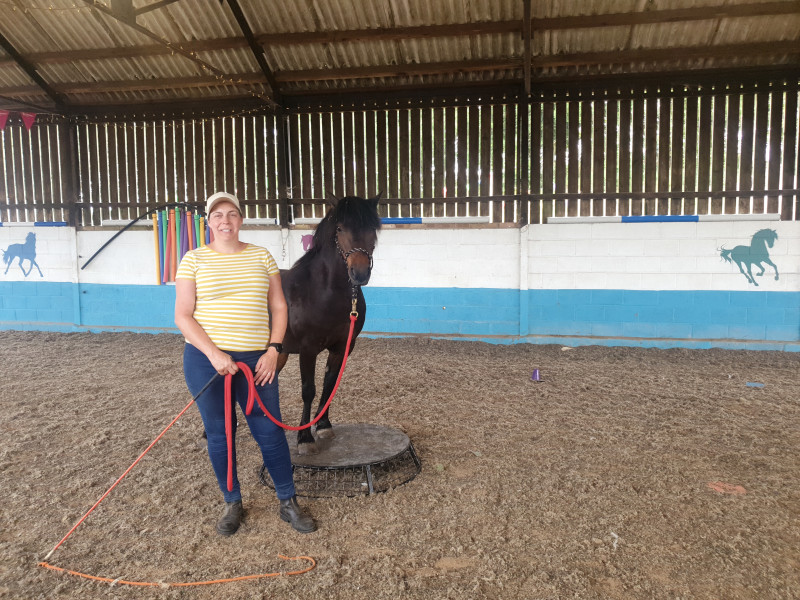 Become a Trustee and Make a Lasting Difference
with Devon Healing Horsemanship (DHH)