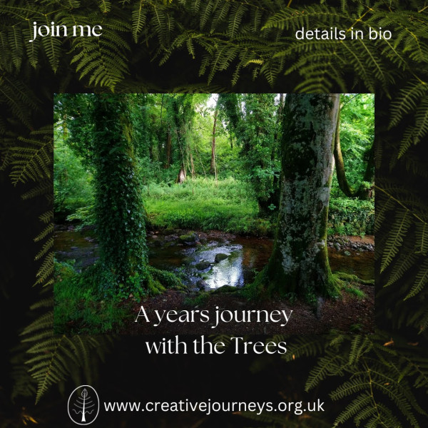 A journey with the trees