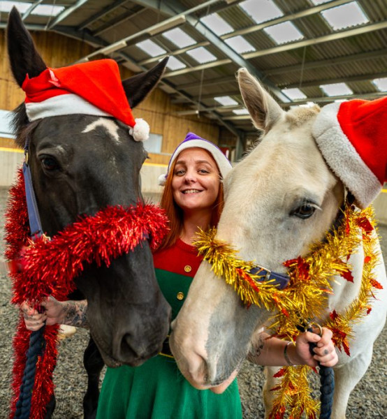 Festive breaks at Calvert Devon.