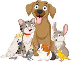 General helpers required at Dawlish Pet Pantry