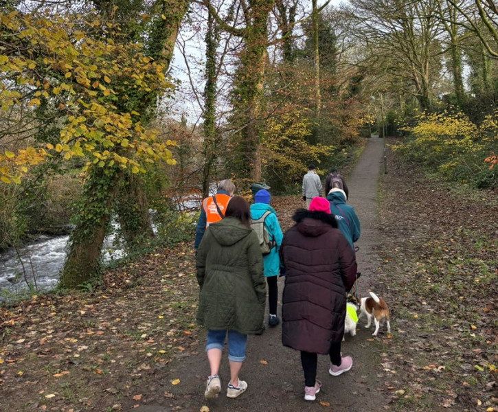 Tavistock Wellbeing Walks