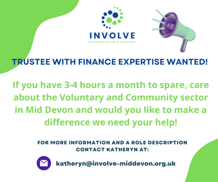 Finance trustee at Involve
