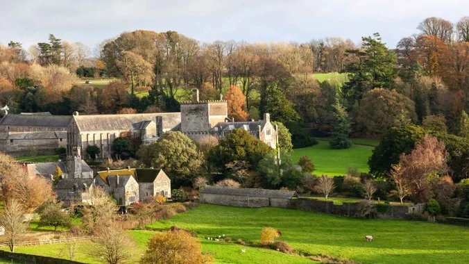 Buckland Abbey Recruitment Morning Friday 20 June 2025