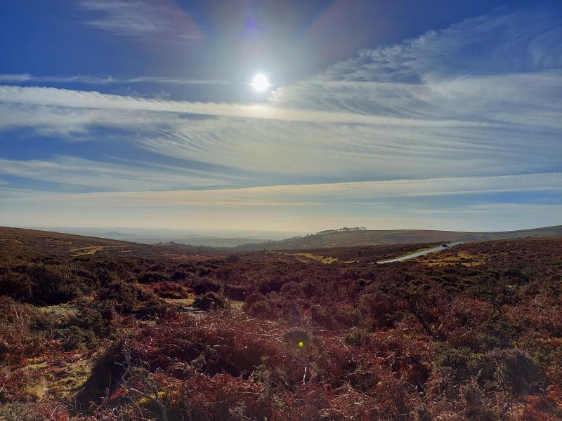 Counselling and Psychotherapy services in Crediton