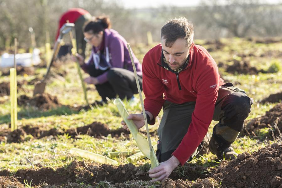 Community Tree Planting at Lower Manor Farm, Ringmore near Ayrmer Cove