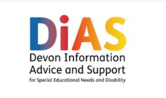 Making Sense of EHC plans: The Education Health and care plan (EHC) review workshop - 11th June