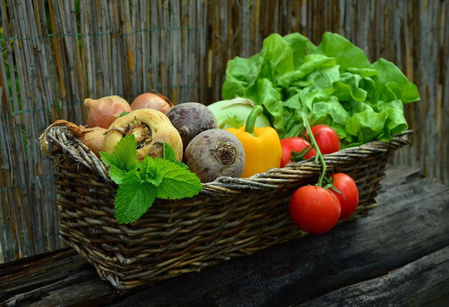 Bradninch Community Food Shed