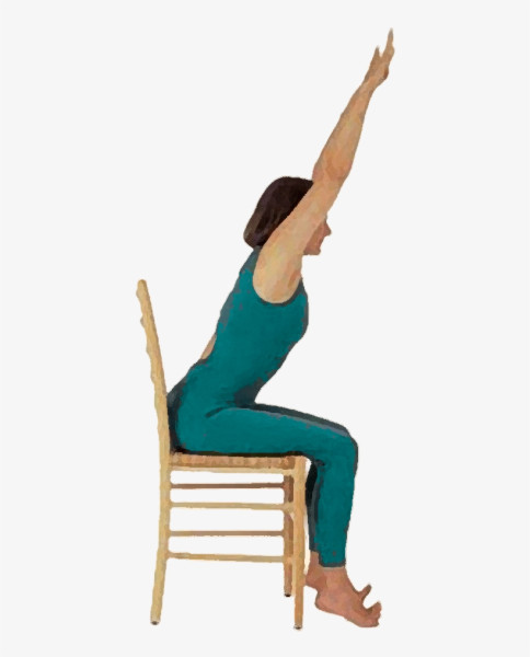 Seated Yoga