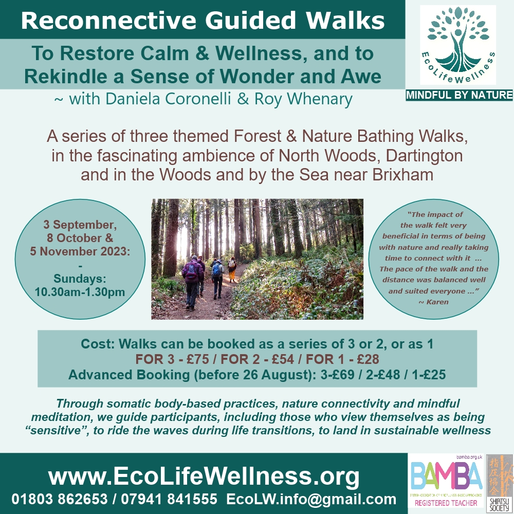 Information Sheet